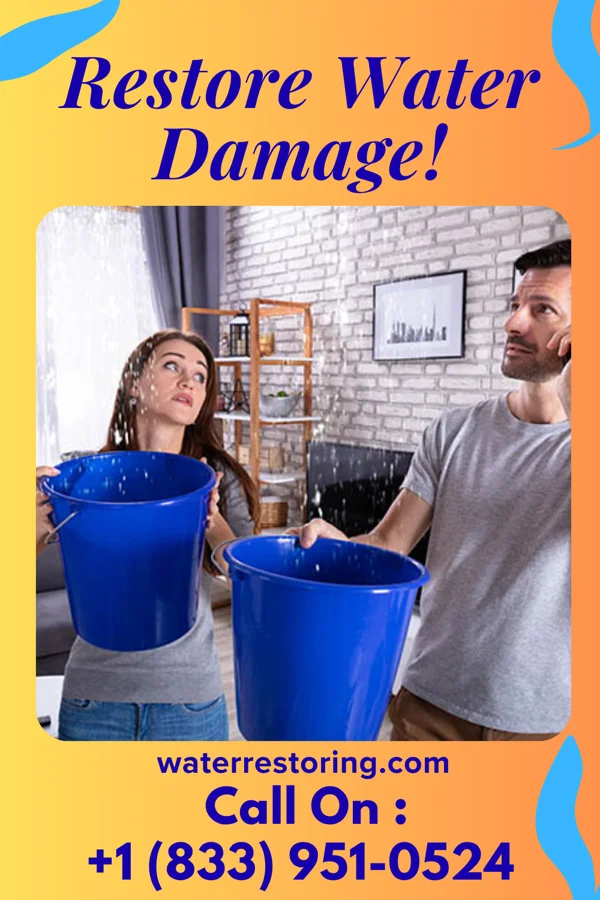 water restoration Prime Flood Inc Bloomingdale
