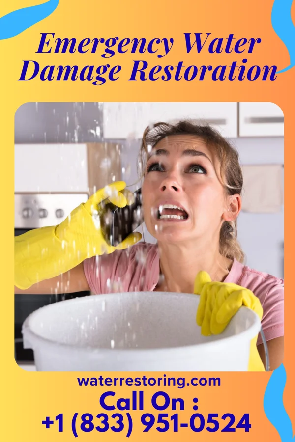 Emergency Water Damage Restoration in Bloomingdale, MI