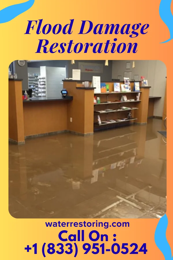 Flood Damage Restoration in Bloomingdale, MI