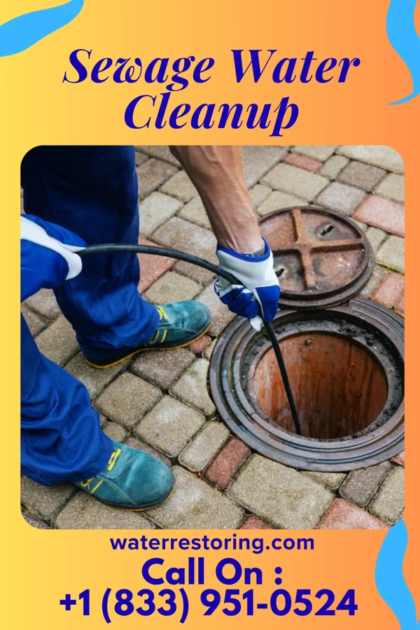 Sewage Water Cleanup in Bloomingdale, MI